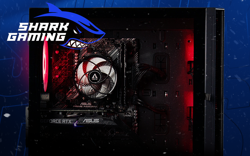 Shark Gaming Kampanja