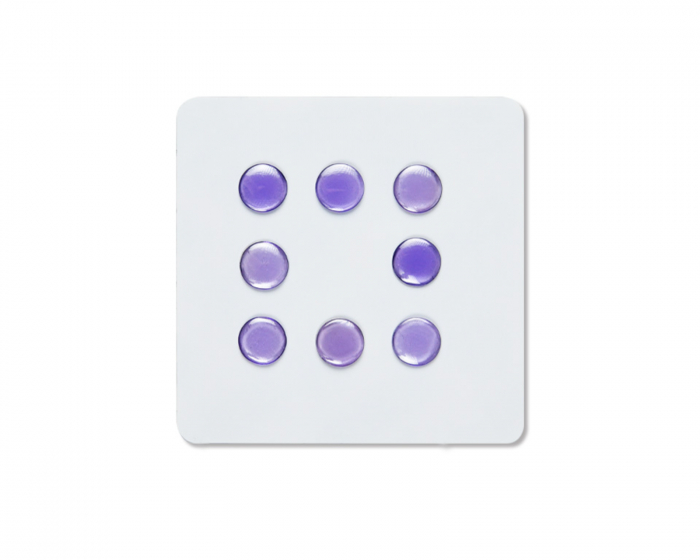 Unusual Way Sports Fox Gaze - Universal Dots - Violetti