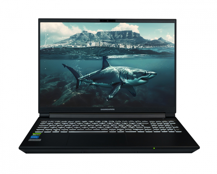 Shark Gaming 16