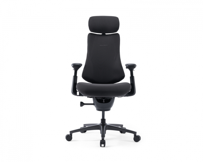 Libernovo Omni Pro Dynamic Ergonominen Tuoli - Graphite Gray