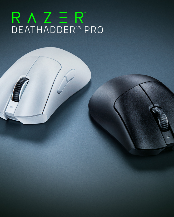 Razer Deathadder V3 Pro