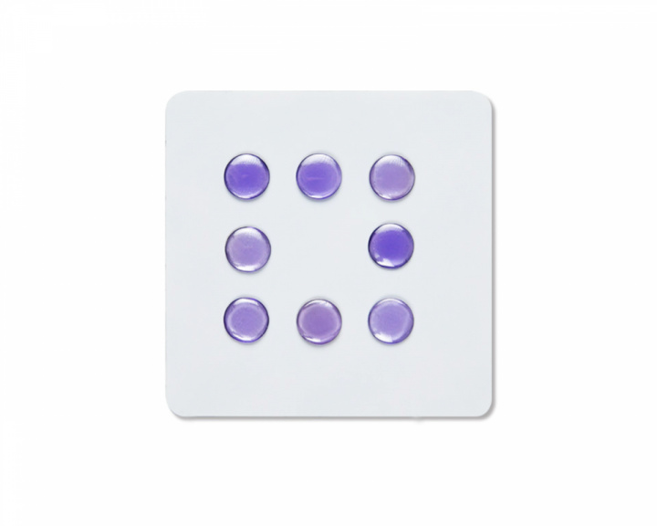 Unusual Way Sports Fox Gaze - Universal Dots - Violetti
