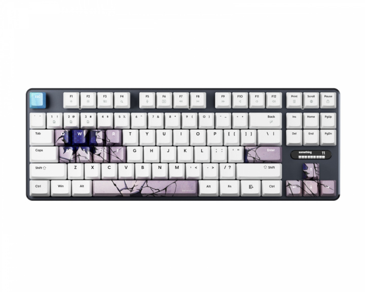  PCMK 3 HE TKL Näppäimistö ANSI - Something Edition