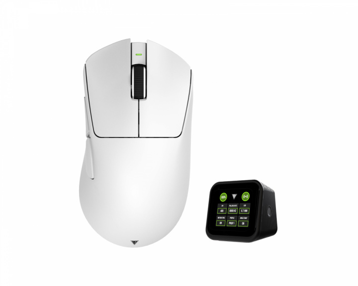 Rapid Sync 8K Dongle + Terra Pro Langaton Pelihiiri - Valkoinen