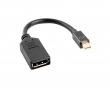 Displayport Mini Uros - Displayport Naaras Adapteri