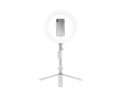 Ring Light 10''