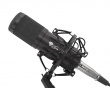Radium 300 Studio XLR Mikrofoni Bundle