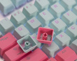 PBT Doubleshot Shine-through 116-Key Keycap Set - Miami