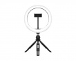 LIGHT - 10” Ring Light - Musta