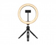 LIGHT - 10” Ring Light - Musta