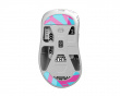 Glass Skates Pulsar Xlite Series - Miami - Nachocustomz Edition