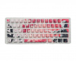 Raven - Cherry TKL Keycap Set - Sakura