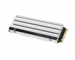 MP600 Elite PCIe Gen4 x4 NVMe M.2 SSD PS5 - 1TB - Valkoinen