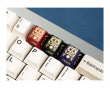 Dharma Zinc Alloy Artisan Keycap - Violetti