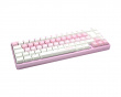 Muse65 HE Näppäimistö [Gateron Magnetic White] - Sakura