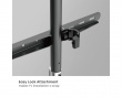 Tripodi TV:lle 45