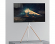 Tripodi TV:lle 45