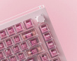 A75 Master - Hall Effect Gaming Tastatur ANSI – Champagne Pink [TTC POM]