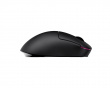 ZywOo the Chosen Mouse Medium - Musta