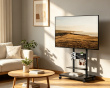 TV Teline Hyllyillä 50
