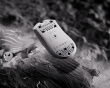 Cyclone Pro - Universal Mouse Skates - Dots 40 kpl