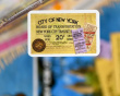 Ticket To Ride New York - Lautapeli (Pohjoismainen)