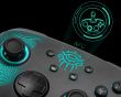 Firefly Pro Wireless Controller for Nintendo Switch - Zonai