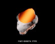 Origin Orange Universal PTFE Mouse Dots - 20 kpl