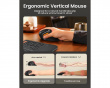 EM11 NL Ergonominen pystyhiiri - Valkoinen