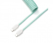 Coiled Aviator Kaapeli Straight 8K - Mint