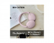 WH-CH730 Langattomat melua vaimentavat Bluetooth-kuulokkeet - Vaaleanpunainen