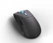 Model D PRO Wireless Pelihiiri - Vice - Forge Limited Edition (DEMO)