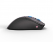 Model D PRO Wireless Pelihiiri - Vice - Forge Limited Edition (DEMO)