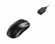 4K Hz Wireless Dongle (DEMO)