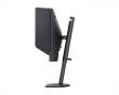 XL2586X+ 600Hz Pelimonitori (DEMO)