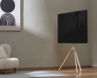Tripodi TV:lle 45
