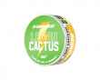 Pouch Energy - Lemon & Cactus (10-Pack)